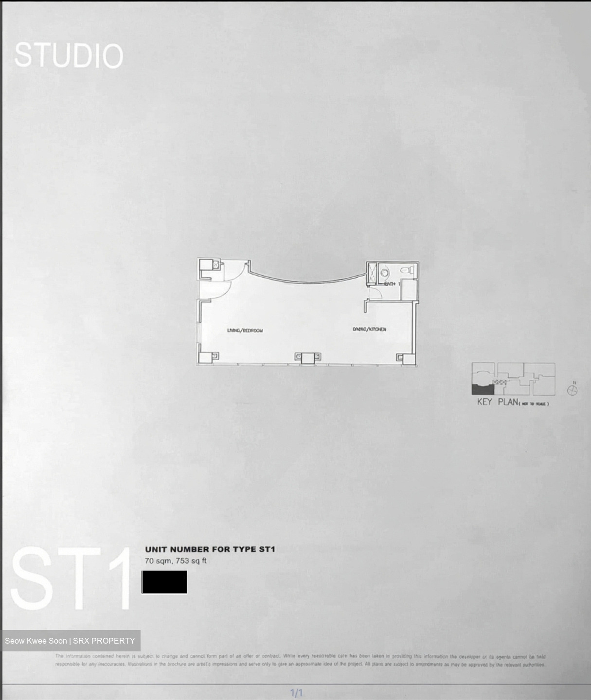 Orchard Scotts (D9), Condominium #492343271